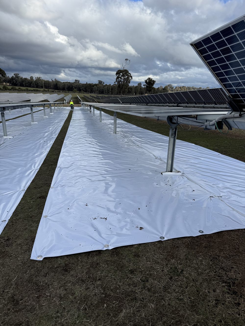 Perspective view along a row of Sunplus mat with a tilted bifacial panel at right, worker visible down the row.