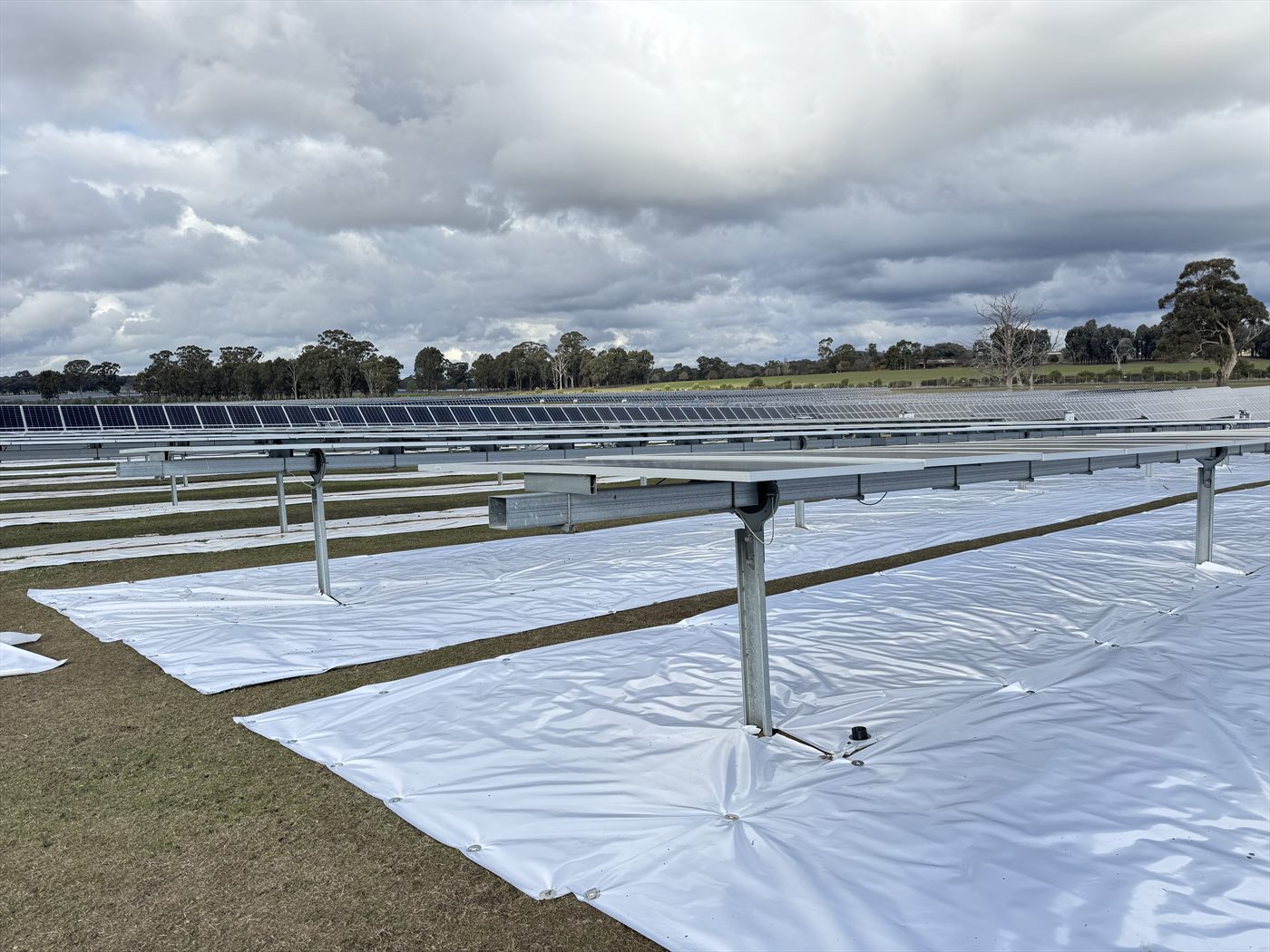 Sunplus mat strips laid between rows of bifacial tracker modules across an Australian field.
