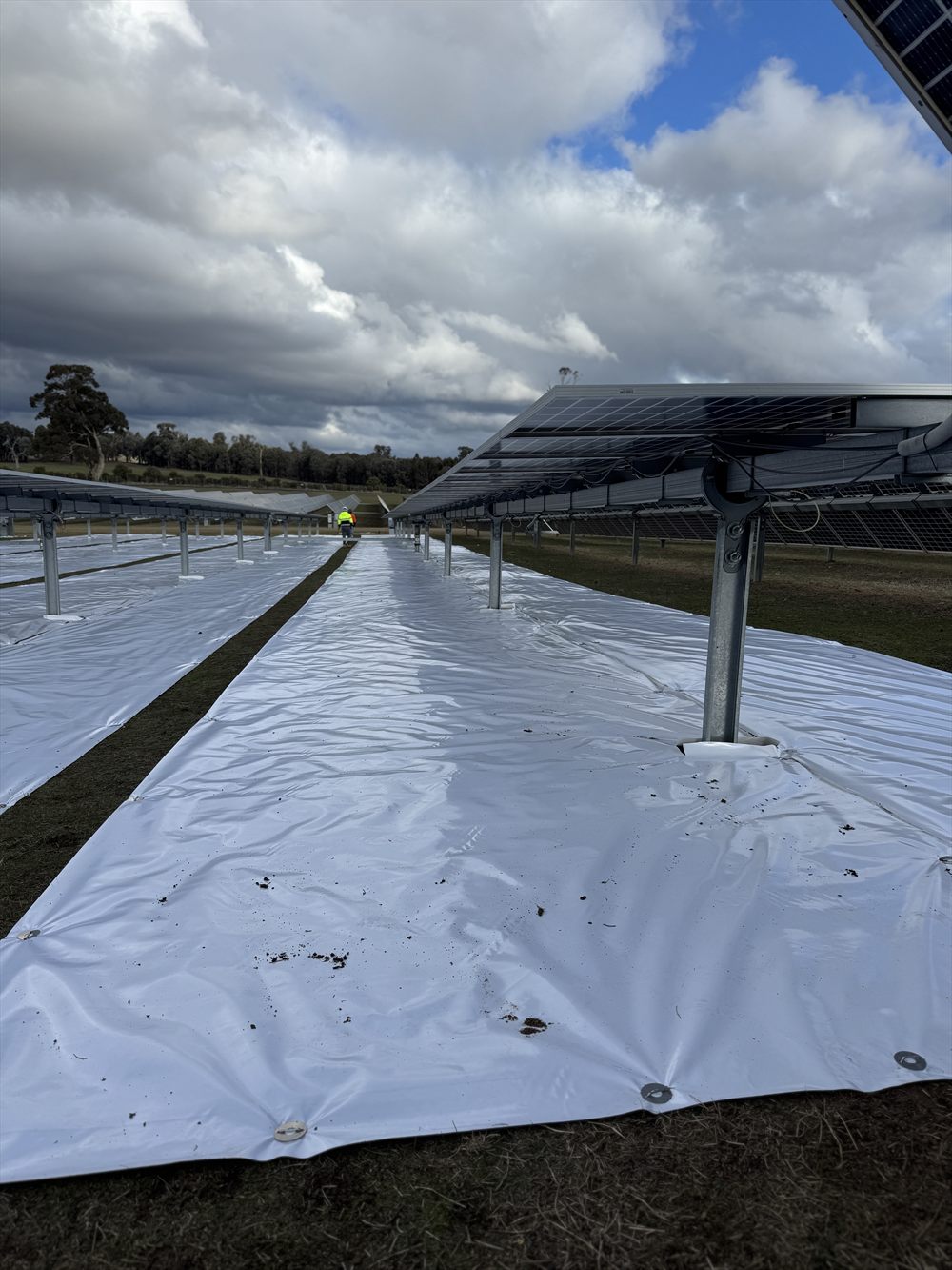 Ground-level view under the tracker panels showing Sunplus mat laid across the row width with a hi-vis worker in the distance.