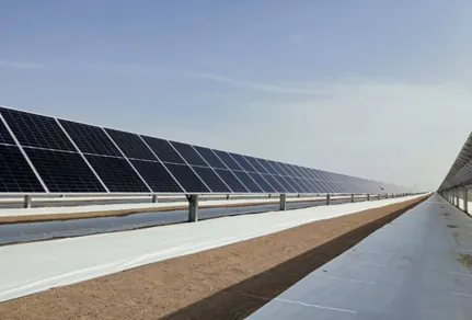A long row of bifacial modules at a utility-scale site with white Sunplus matting running the length of the row.