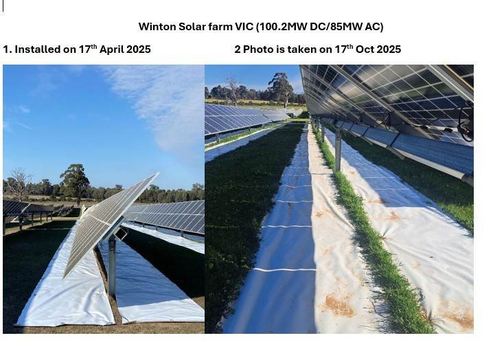 FRV Winton Solar Farm, VIC. Left: Sunplus mat installed between rows, 17 April 2025. Right: same rows six months on, 17 October 2025, with the mat still reflective and grass coexisting along the row edges.